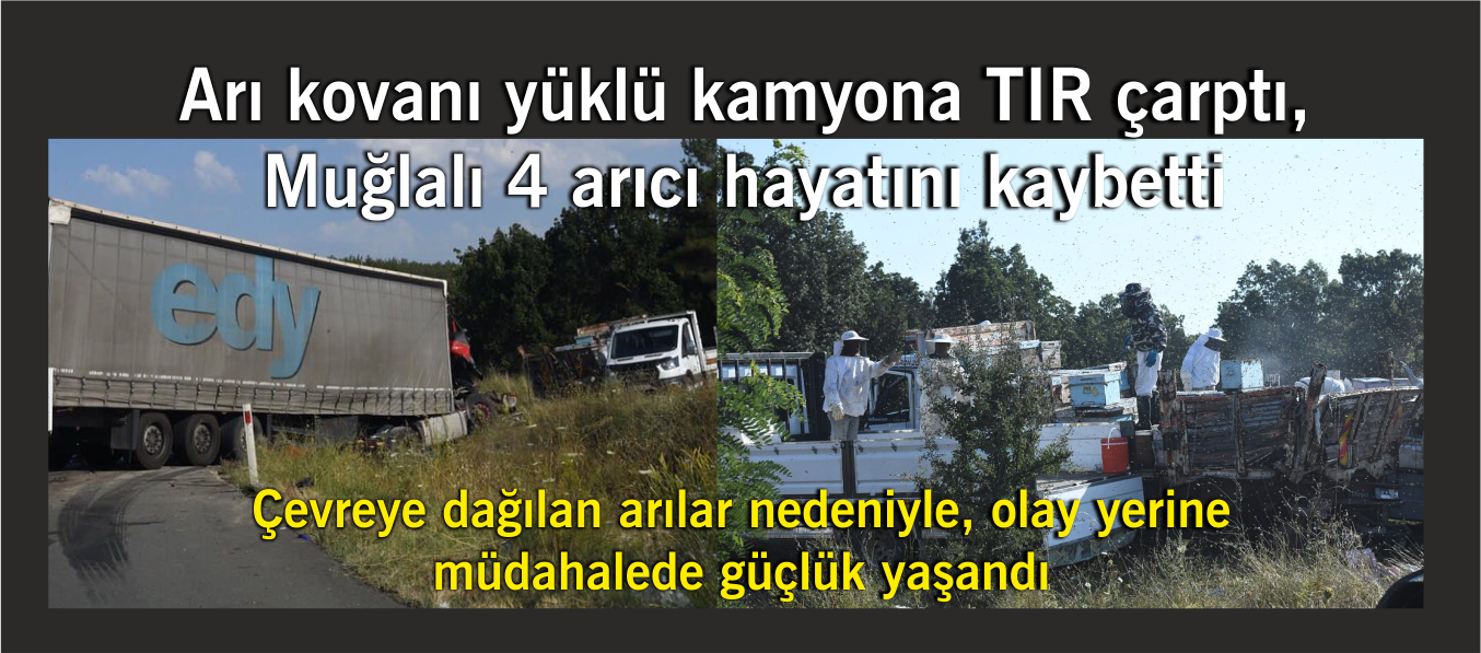 Arı kovanı yüklü kamyona TIR çarptı, Muğlalı 4 arıcı hayatını kaybetti