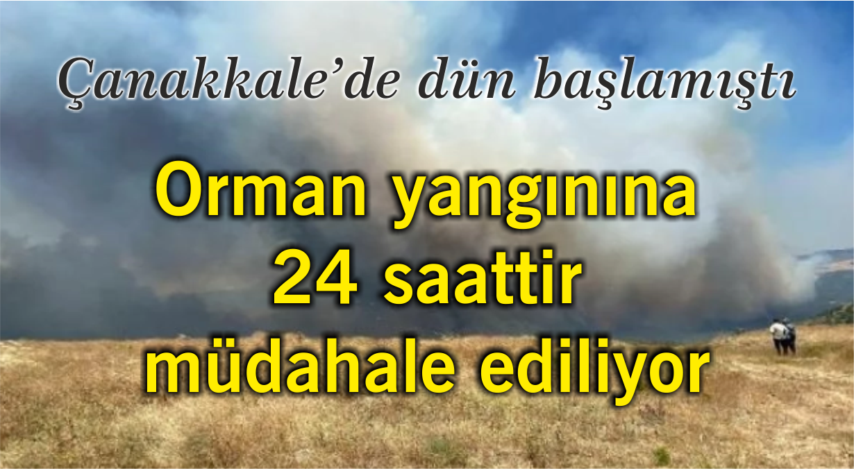 Çanakkale'deki orman yangınına 24 saattir müdahale ediliyor