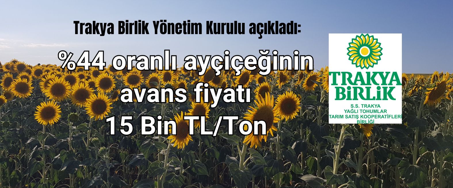 %44 oranlı ayçiçeğinin avans fiyatı 15 bin TL/ton