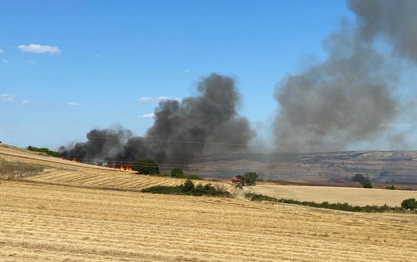 Paşayiğit'te çıkan anız yangınına müdahale ediliyor
