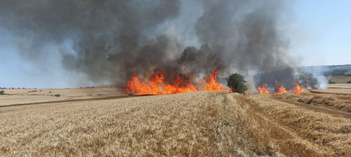 Beyendik'te çıkan tarla yangını, büyümeden söndürüldü