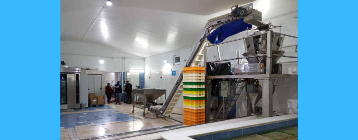 Enez Çavuşköy’deki su ürünleri fabrikası, ziyaretçilerin takdirini kazandı