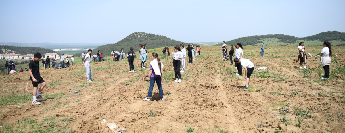 Eski çöplükteki toprak, binlerce fidanla buluşturuldu