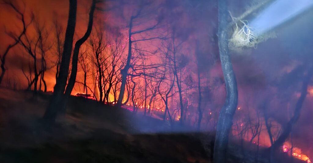 Gökçetepe’deki orman yangını, gece saatlerinde söndürüldü