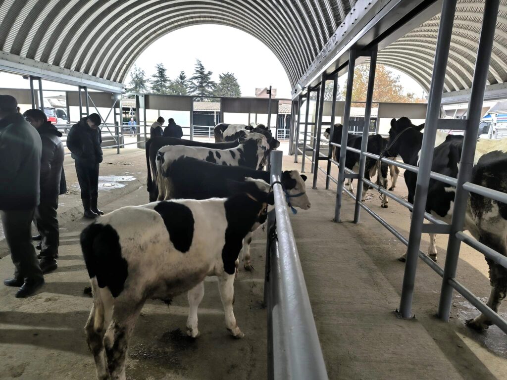 Keşan Canlı Hayvan Pazarı yeniden açıldı