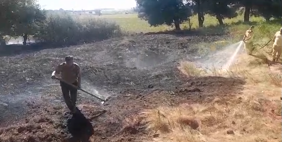 İstasyon Mahallesi'nde mangaldan çıkan yangın anızlara sıçradı