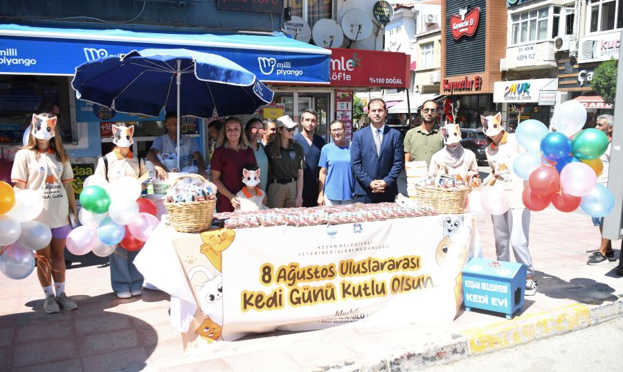 8 Ağustos Uluslararası Kedi Günü’nde, sokak canlılarının yaşam koşullarına dikkat çekildi