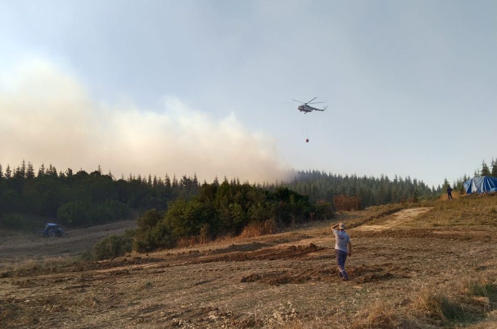 Malkara’daki yangın söndürüldü, Çanakkale 3. gününde devam ediyor