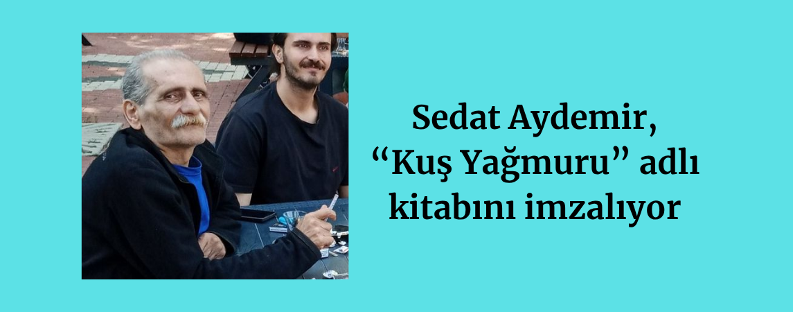 Sedat Aydemir, 