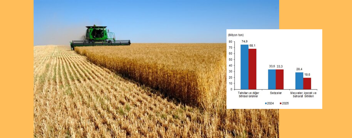 2025 yılında, bitkisel üretimde düşüş yaşandı