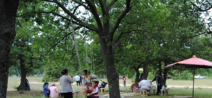 Mecidiye Dallığı, 10 Mayıs'ta