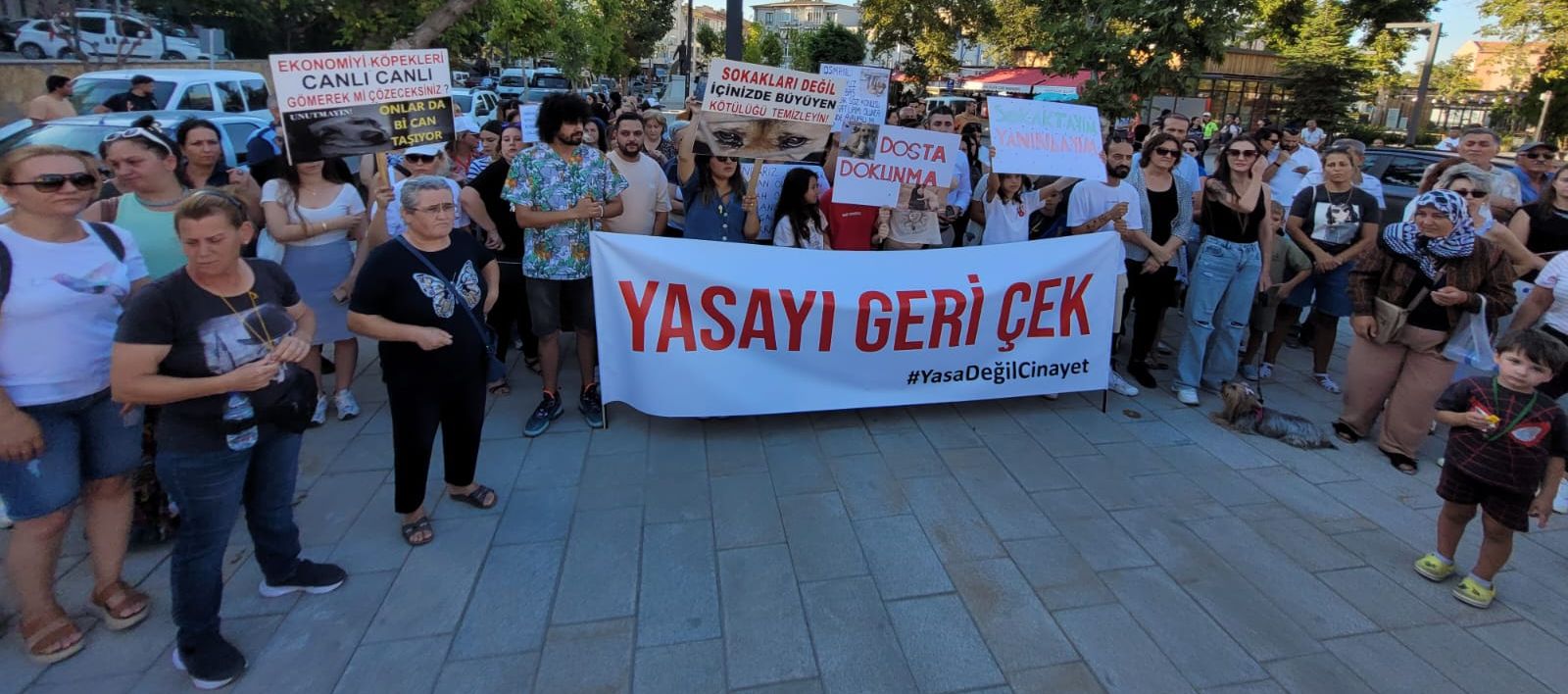 Hayvanseverler, hükümete Keşan’dan seslendi: “Yasayı geri çek!”