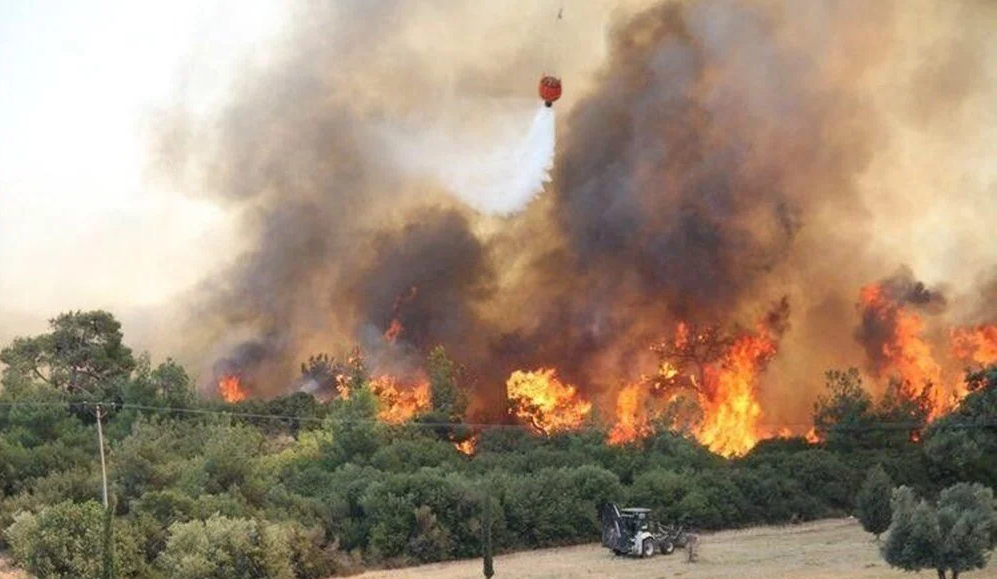 Çanakkale yine yanıyor! 2 köy boşaltıldı, 5 köy daha boşaltılacak