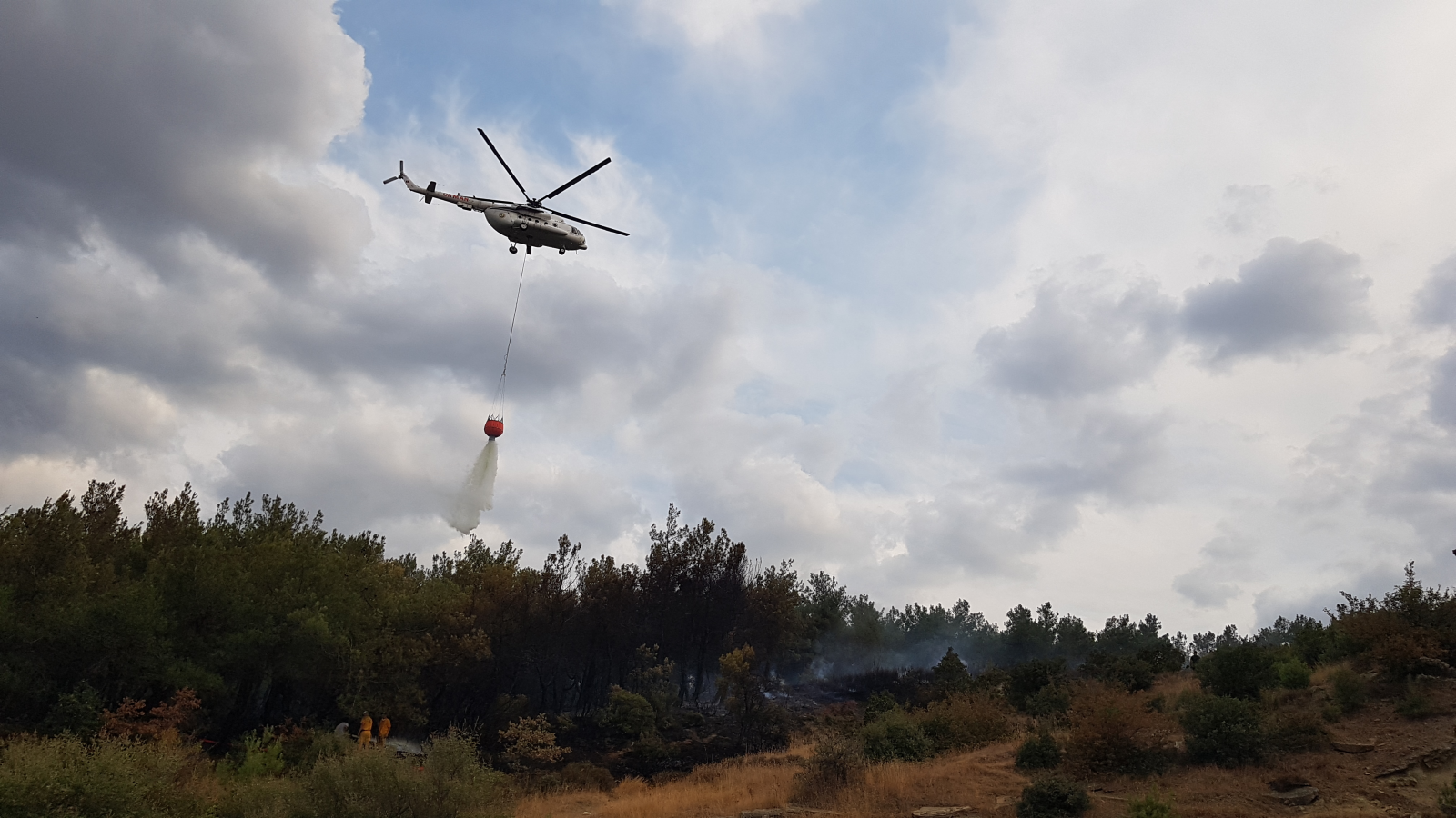Kocadere Göleti yanındaki ormanlık alanda çıkan yangın söndürüldü