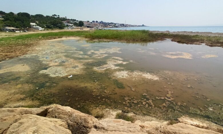 Yayla Sahil Platformu, liman ve sahil sorunlarını dile getirdi