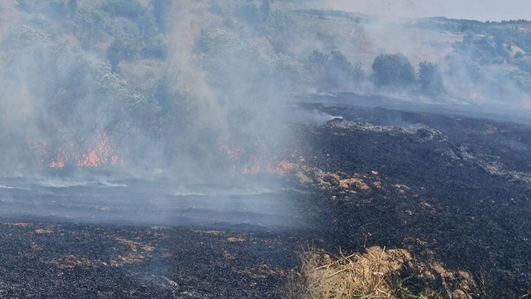 Yeşilköy'deki yangın büyümeden söndürüldü
